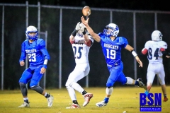 20191107-Weddle-Int-1