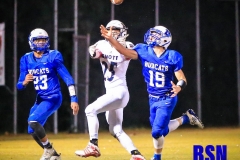 20191107-Weddle-Int-2