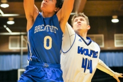 20190125-Slaughter-to-Basket-1000x600