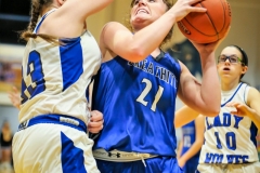20190222-Brewer Jumper Baseline
