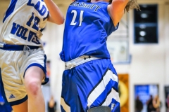 20190222-Brewer to Basket