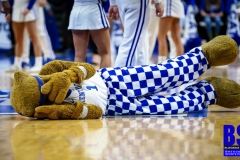 20190223-CAT down