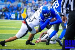 20191130-Rose-touchdown