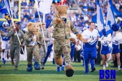20190907-Cat-in-Camo-Lead-Out