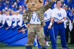 20190907-Cat-in-Camo