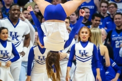 20190309-Cheer Upside down