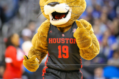 20190329-Mascot