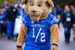 20191026-Blue-Wildcat