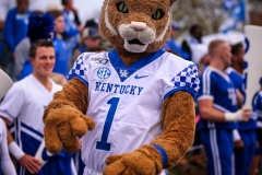 20191026-White-Wildcat