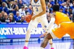 20190216-Johnson on Wing