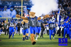 20191109-Cat-Lead-Out