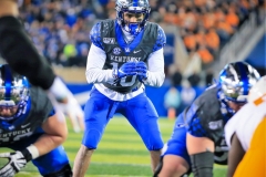 20191109-Rose-Wildcat