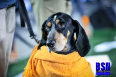 20191109-Smokey-Close