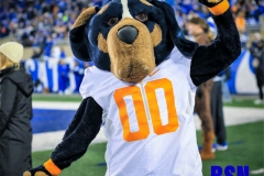 20191109-Smokey-Mascot_