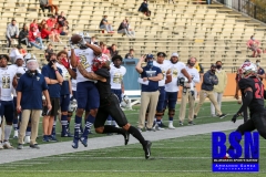 5DM30310