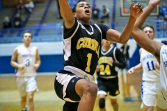 20190131-Cordia 1 Layup