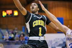 20190131-Cordia 1 at Rim