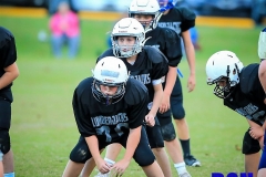 20201014-Kincaid-Tract-Under-Center