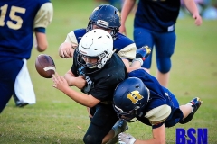 20201014-LJ-Fumble