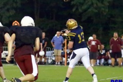 8919hazlesscrim047