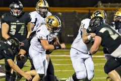 91319hazfloyd046