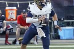 23fbhazmartin236