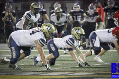 23fbhazmartin362