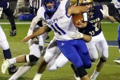 110819playoffhazphelps16