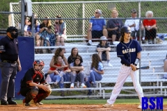 531disbaseballhazpcc077
