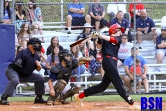 531disbaseballhazpcc163