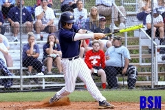 531disbaseballhazpcc313