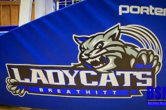 20201207-Basket-Side-LadyCats