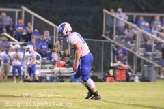weddle3
