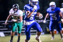 gamebhsvsgreenup-18