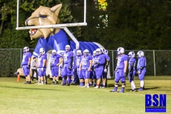 gamebhsvsgreenup-2