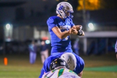 gamebhsvsgreenup-24