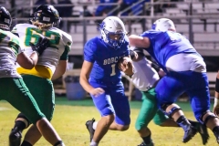 gamebhsvsgreenup-26