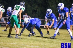 gamebhsvsgreenup-28