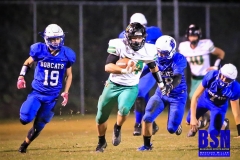 20201016-Clevenger-Brady-Run-Open-Field