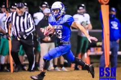 20201016-Weddle-Lane-After-Catch-in-Stride-2