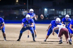 20201127-O-Line-at-Snap