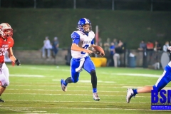 20200925-Little-Sam-Open-Field