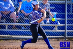 20210426-0059-HSSB-Wolfe-v.-Powell-4-26-21