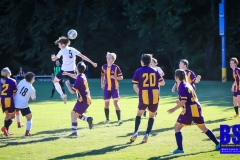 20200920-Shoptaw-Header-1