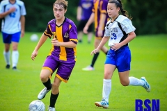 20200915-Howard-Paxton-Open-Field-2