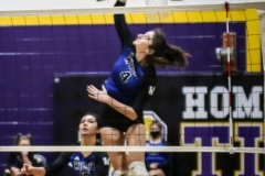 wolfevsbhsdistrictchampionshippics-21