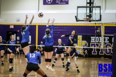 wolfevsbhsdistrictchampionshippics-24