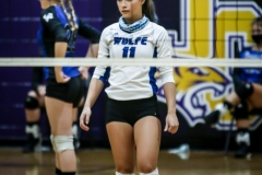 wolfevsbhsdistrictchampionshippics-28