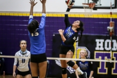 wolfevsbhsdistrictchampionshippics-33
