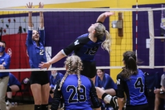 wolfevsbhsdistrictchampionshippics-48